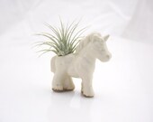 Unicorn air plant planter pod Terrarium