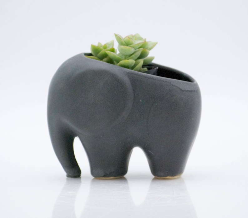 Elephant planter for succulents ceramic planters animal Etsy