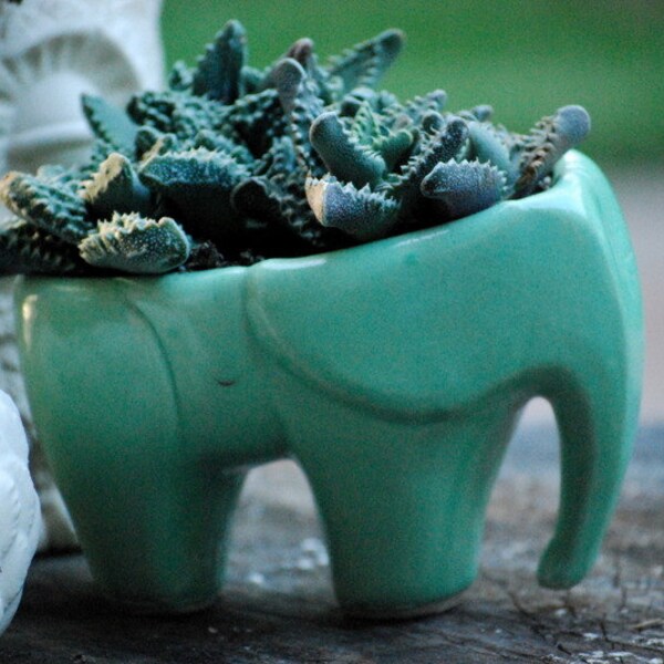 Perna/Dondey Wedding Registry   planter in mint green
