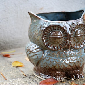 large ceramic planter , owl planter , owl lover gift, gardener gift, vintage style