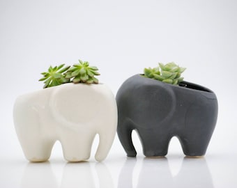 Elephant planter for succulents, ceramic planters, animal planters, for her, Gifts for mom, desk plants, housewarming gift