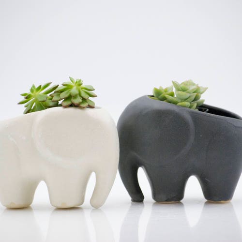 Mint Green Elephant Planter: Ceramic Succulent Planter, Desk Plant