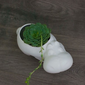 Hippo Planter, Ceramic Succulent Planter, Desk Decor