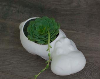 Hippo Planter, Ceramic Succulent Planter, Desk Decor