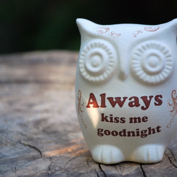 Owl decor  "always kiss me good night"