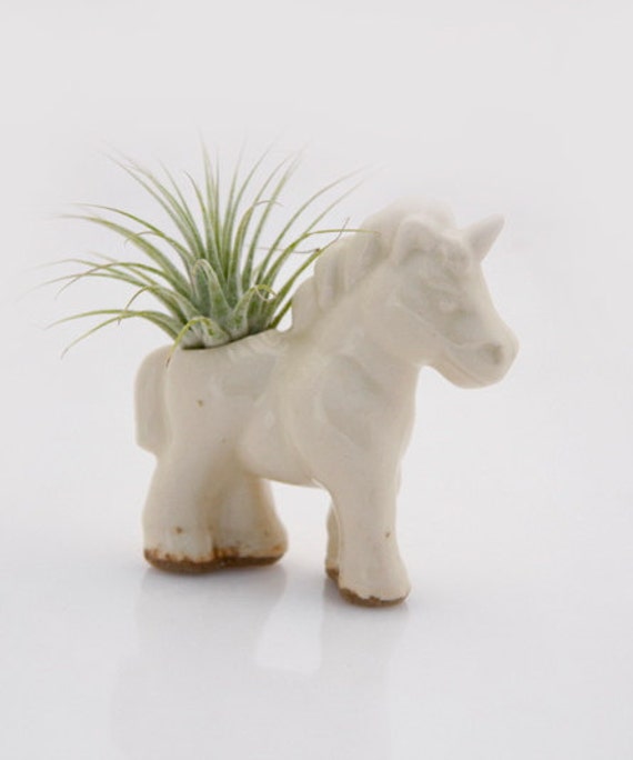 Unicorn Air plant holder Mini planter ceramic unicorn air Etsy