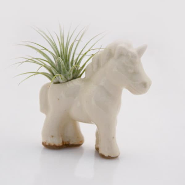 Unicorn Air plant holder, Mini planter, ceramic unicorn planter, air plant pod