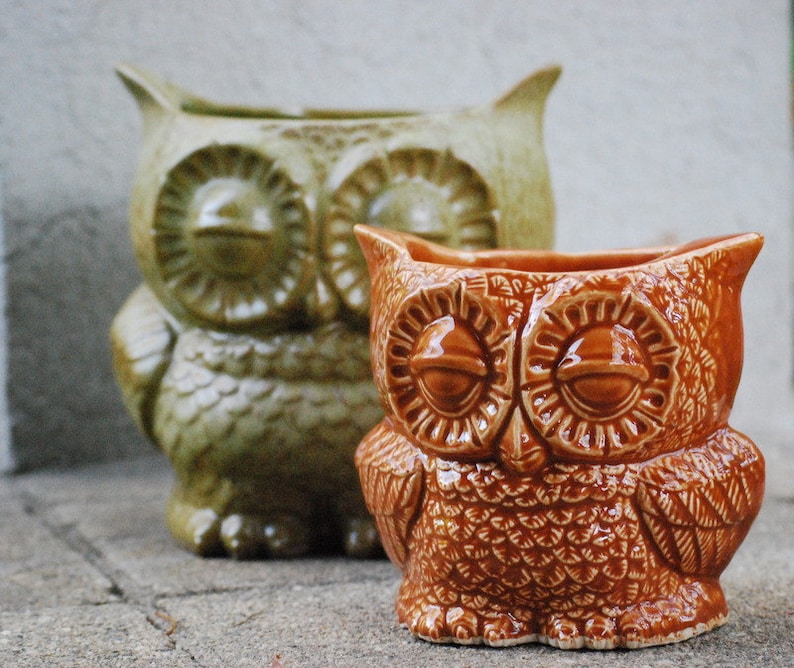 May include: Two ceramic owl planters, one green and one brown. The green owl planter has a more stylized design, while the brown owl planter has a more realistic design. Both planters have large, round eyes.