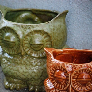 May include: Two ceramic owl planters, one green and one brown. The green owl planter has closed eyes and a textured surface. The brown owl planter has open eyes and a smooth surface.