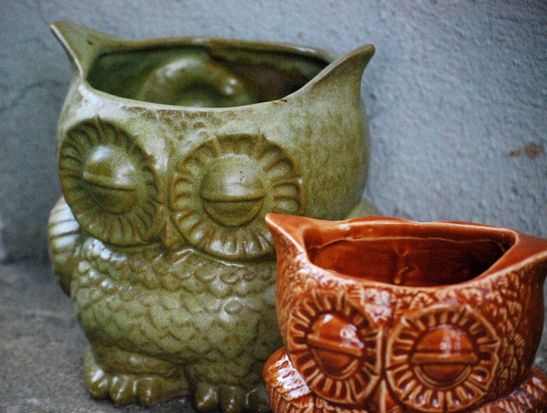 May include: Two ceramic owl planters, one green and one brown. The green owl planter has closed eyes and a textured surface. The brown owl planter has open eyes and a smooth surface.