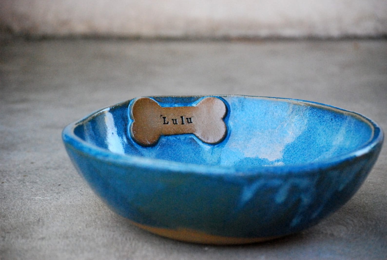Custom Dog Bowl Ceramic Dog Bowl Dog Food Bowl Dog Owner Etsy