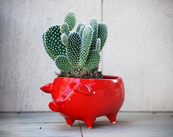Ceramic pig succulent planter, Pottery pig Planter, Pig cactus planter, Red pig pot, Handmade pottery, office gift, Housewarming gift