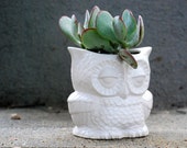 owl Planter indoor planter  ivory white  home decor