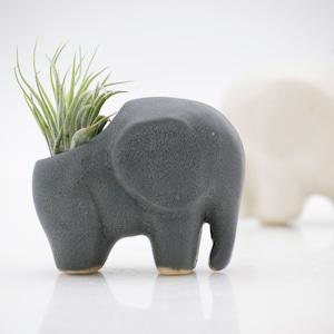 Elephant Air plant holder, elephant gift