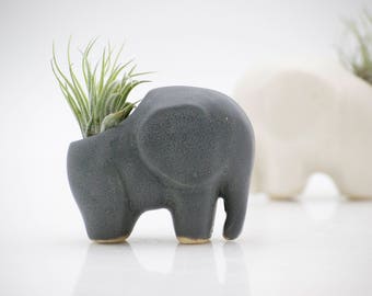 Air plant holder, Mini planter, ceramic elephant, air plant pod, valentines day, Air plant planter, office gift, Christmas gift , desk decor