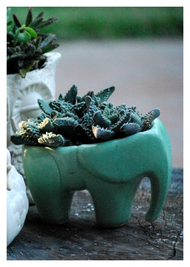 Elephant Planter for Succulents Ceramic Planters Animal Etsy
