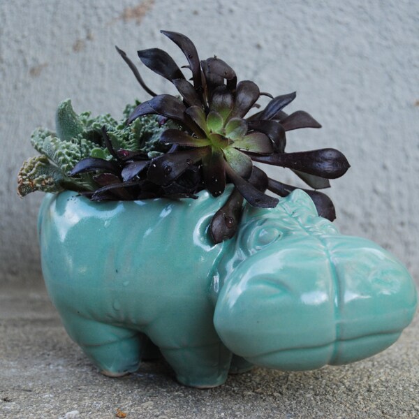 Hippo planter, succulent planter, mint green  plant pot animal lover gift desk decor accessory