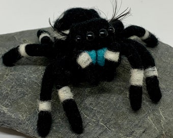 jumping spider plush