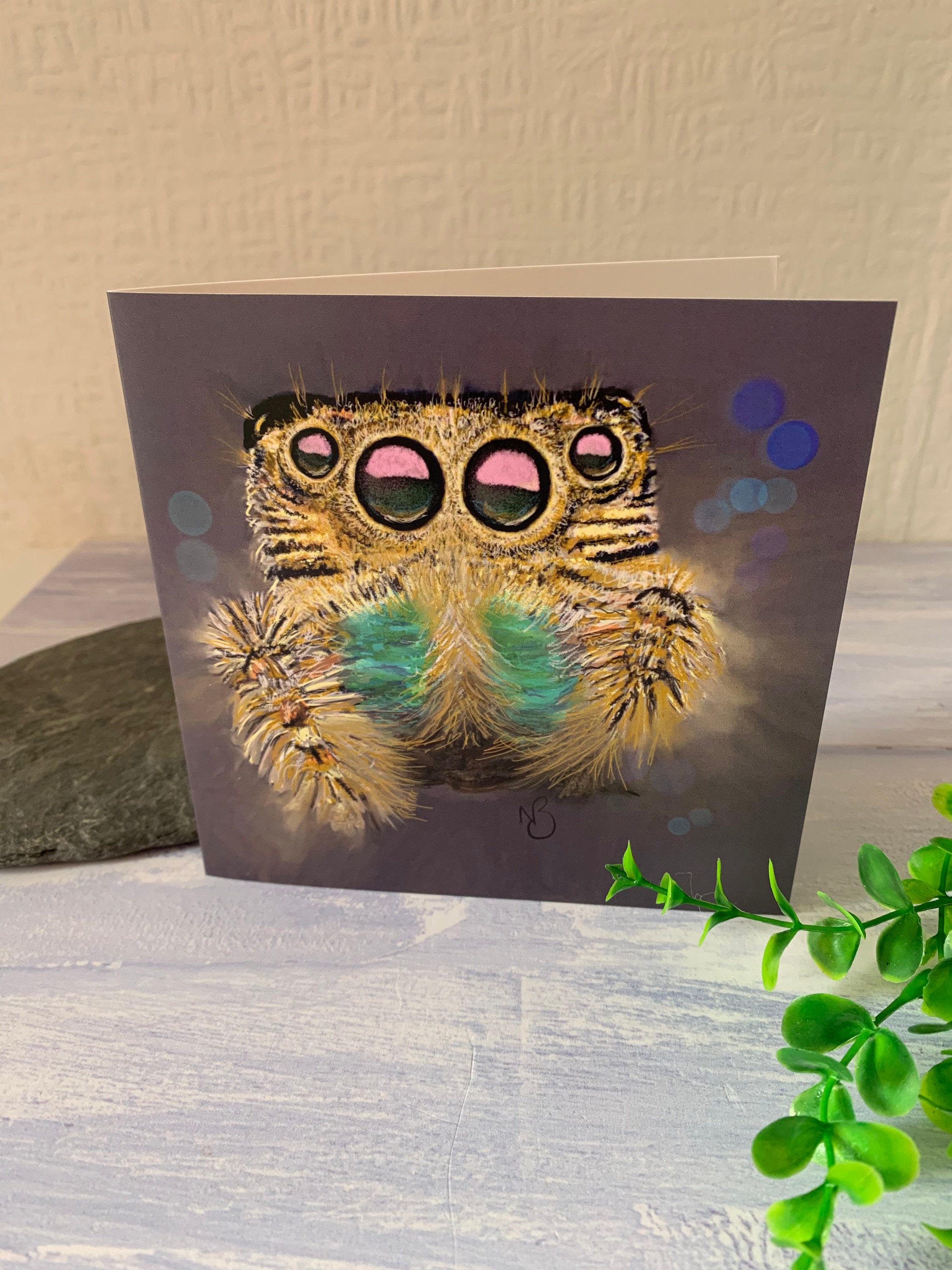 Jumping spider greetings card blank inside original artwork | Etsy