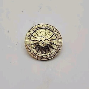 Pin de solapa vintage de la Cumbre Nacional de las Montañas Humeantes, Asheville, Carolina del Norte, insignia de recuerdo, viaje a las montañas de Carolina del Norte, artículo de colección, Taiwán imagen 1