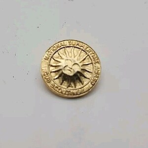 Pin de solapa vintage de la Cumbre Nacional de las Montañas Humeantes, Asheville, Carolina del Norte, insignia de recuerdo, viaje a las montañas de Carolina del Norte, artículo de colección, Taiwán imagen 3