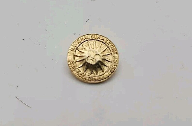 Pin de solapa vintage de la Cumbre Nacional de las Montañas Humeantes, Asheville, Carolina del Norte, insignia de recuerdo, viaje a las montañas de Carolina del Norte, artículo de colección, Taiwán imagen 3