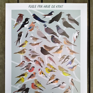 Havens Fugle Poster - Birds found in the gardens of Denmark and its surroundings.