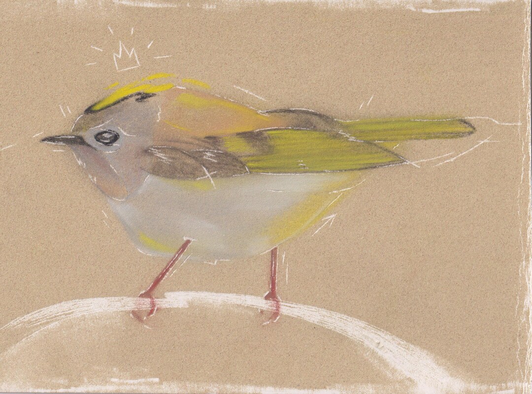 Scratched Bird King Original Illustration Etsy