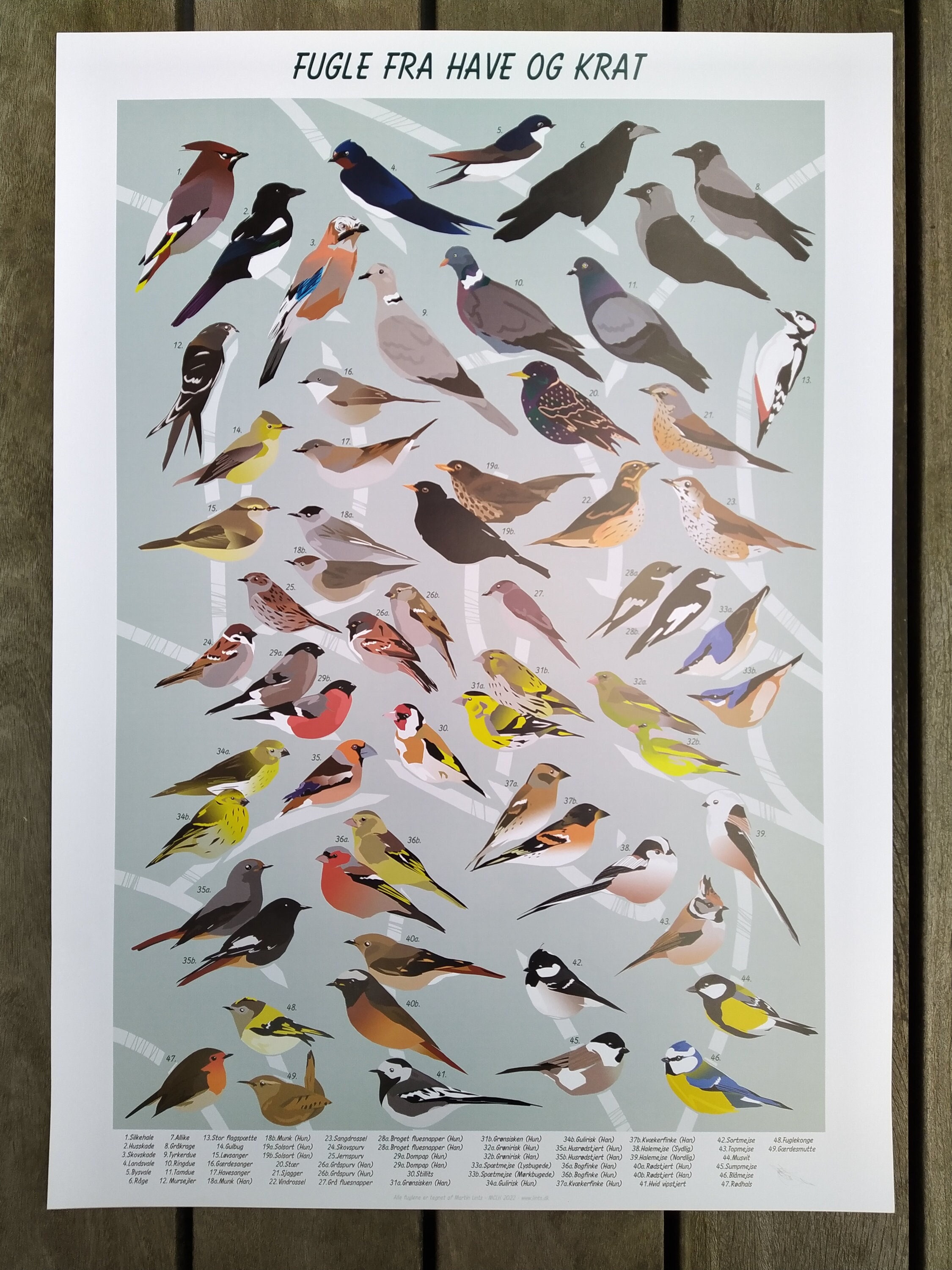FUGLEN ポスター 北欧 Havens Fugle Poster - Birds Found in the Gardens of Denmark and