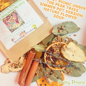 以下が含まれることがあります： 「Nature Flower Simmer Pot Version」と「Pretty Prairie Soul」の文字が入ったクラフト紙袋が、乾燥オレンジスライス、シナモンスティック、ローリエの葉、その他の植物に囲まれています。「Forest Picnic Under The Pear Trees」の文字も確認できます。