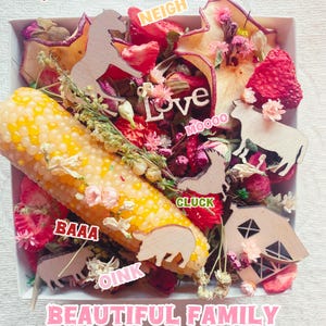 May include: A box filled with dried flowers, fruit, and wooden animal cutouts. The words "NEIGH", "MOOO", "BAAA", "OINK", "CLUCK", "LOVE", and "Pretty Prairie Soul" are written on the cutouts. The text "BEAUTIFUL FAMILY FARM FLOWER SOUP" is written at the bottom of the box.