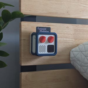 Case affixed to Wall Mount on bed-frame. Both items included in listing.