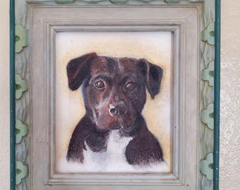 Custom Pet Portrait - Hand sketched, pastel Dog or Cat portraits, beloved animal pastel sketches, custom dog portrait, custom cat portrait