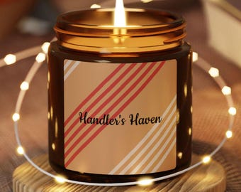 Vela para Entusiastas de Inteligência, Governo, Militares ou Espiões "Handler's Haven"