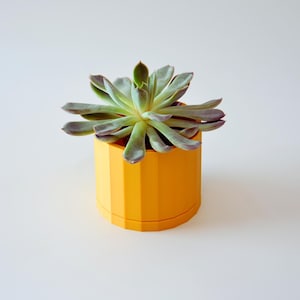 Succulent Pot with Drainage and Saucer: Faceted Planter With Tray