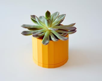 Faceted Succulent Planter with Drainage and Saucer, Modern Geometric Plant Pot, Housewarming Gift