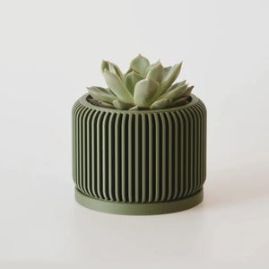 Succulent Pot with Drainage and Saucer: Ribbed Planter With Tray