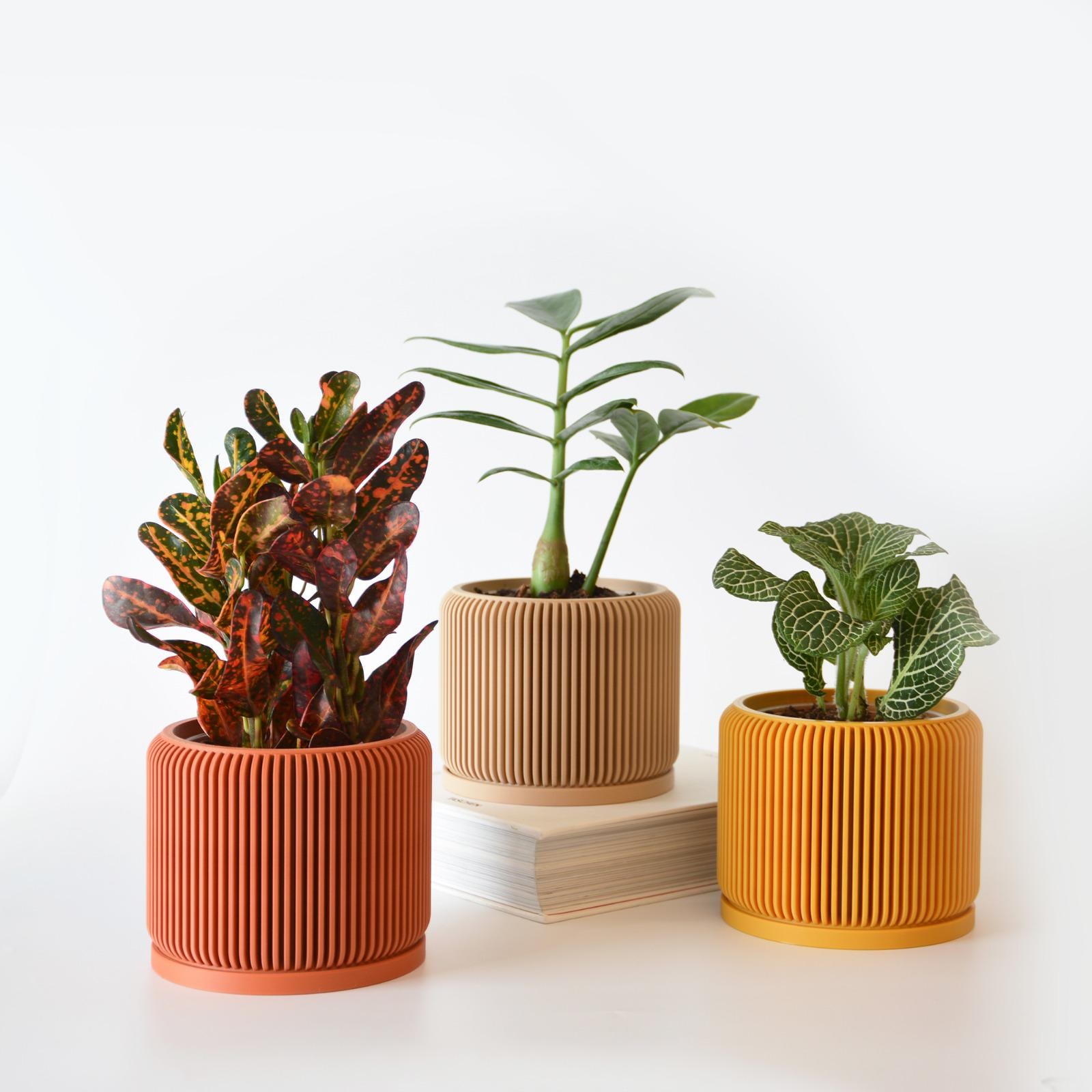 DOITOOL 50 Pezzi Vasi di plastica per Piante per La Semina di 10 cm Vasi da Fiori Contenitore per Piante da Vaso per Semi (Diametro 100mm