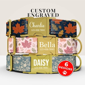 May include: Three dog collars with gold metal buckles, each featuring a unique autumn-themed pattern of leaves and acorns. The buckles are custom engraved with names Charlie, Bella, and DAISY, along with the phone number 123-456-7890.