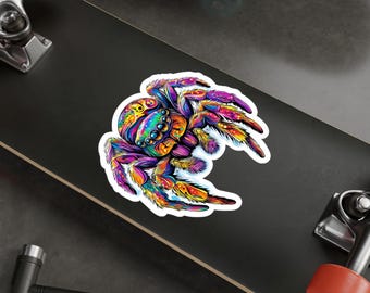 Colorful Spider Vinyl Decal: Laptop Sticker, Window Cling