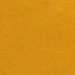 Yellow curry velour fabric in organic cotton. Honey gold yellow velour fabric by the 1/2 meter. image 2