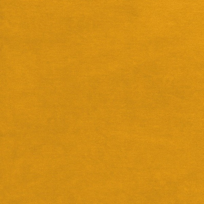 Yellow curry velour fabric in organic cotton. Honey gold yellow velour fabric by the 1/2 meter. image 2