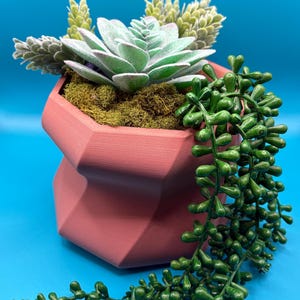 May include: A pink geometric planter with a succulent plant and trailing greenery. The planter has a unique, faceted design.