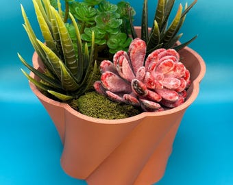 May include: A terracotta-colored planter with a wavy design, filled with a variety of green and red succulents.