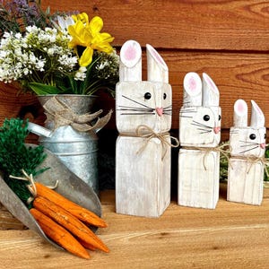 May include: Wooden Easter bunny figurines in varying sizes, painted white with pink accents on the ears and noses. Each bunny has black whiskers and is tied with twine. A metal scoop holds orange carrots, and a galvanized metal vase displays flowers.