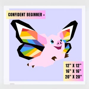 Puede incluir: Un cerdo rosa con alas de mariposa arcoíris volando sobre un fondo morado claro. La imagen incluye el texto "CONFIDENT BEGINNER +" y los tamaños 12" x 12", 16" x 16" y 20" x 20".
