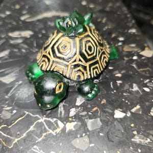 lazy frog riding turtle