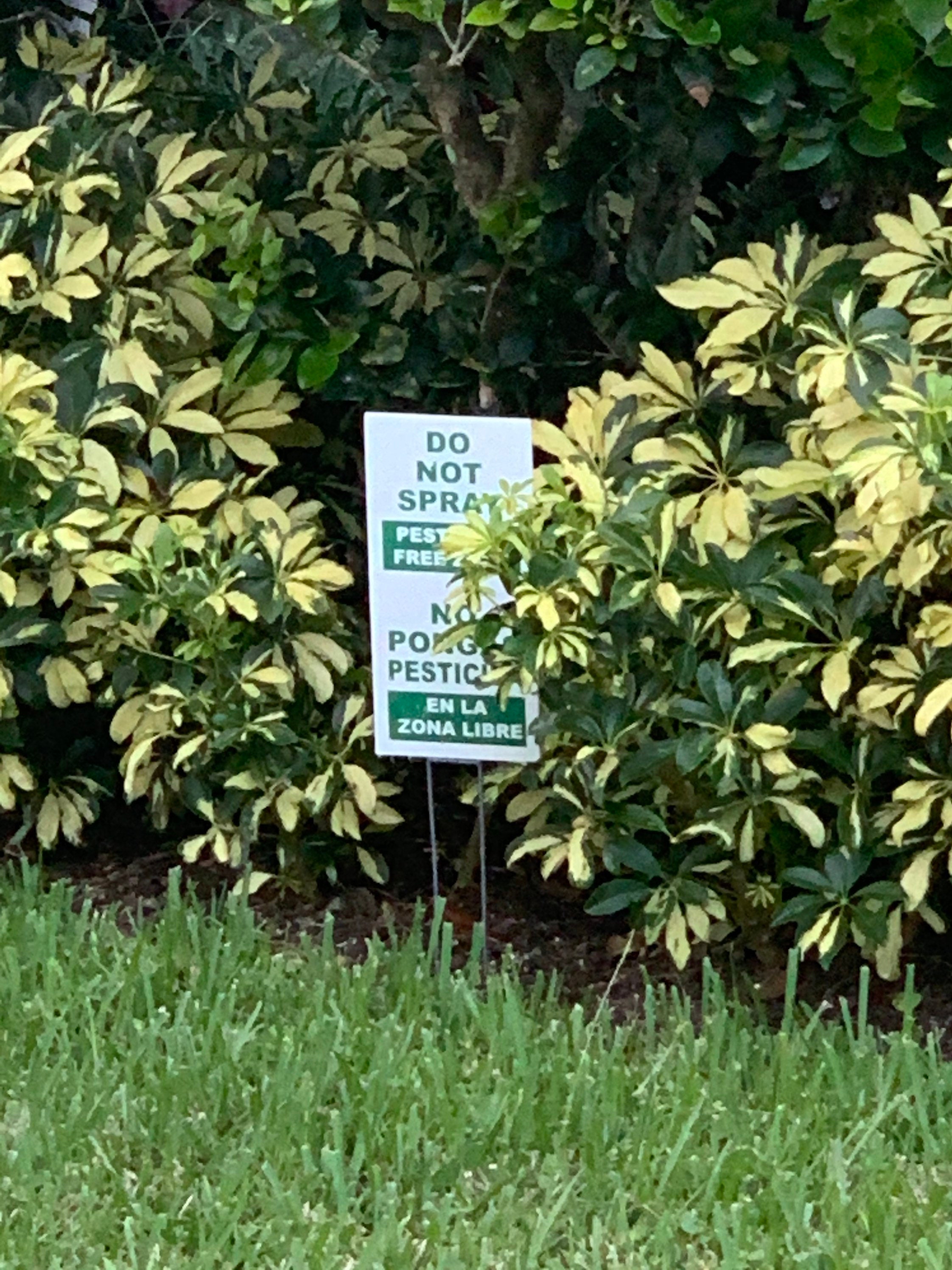 DO NOT SPRAY Pesticide Sign Bilingual English Spanish Etsy