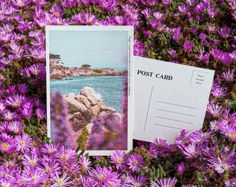 May include: Two postcards rest amidst a vibrant field of purple flowers. One postcard displays a coastal scene with blue water and a rocky shoreline. The other postcard is blank, with the words "POST CARD" printed on it.