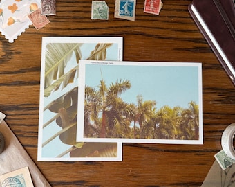 May include: Two postcards with tropical palm tree images, one with a close-up of palm leaves and the other with a view of palm trees against a blue sky. The postcards are on a wooden surface with stamps and a notebook.